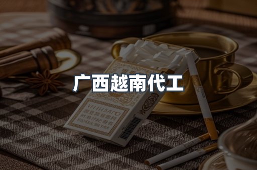 广西越南代工